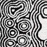Aboriginal Artwork by Amelia Napaljarri Brown, Pikilyi Jukurrpa (Vaughn Springs Dreaming), 30x30cm