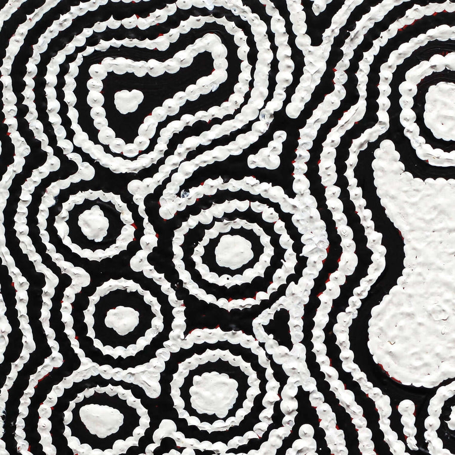 Aboriginal Artwork by Amelia Napaljarri Brown, Pikilyi Jukurrpa (Vaughn Springs Dreaming), 30x30cm