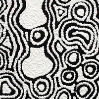 Aboriginal Artwork by Amelia Napaljarri Brown, Pikilyi Jukurrpa (Vaughn Springs Dreaming), 30x30cm