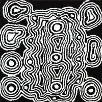 Aboriginal Artwork by Amelia Napaljarri Brown, Pikilyi Jukurrpa (Dreaming), 30x30cm