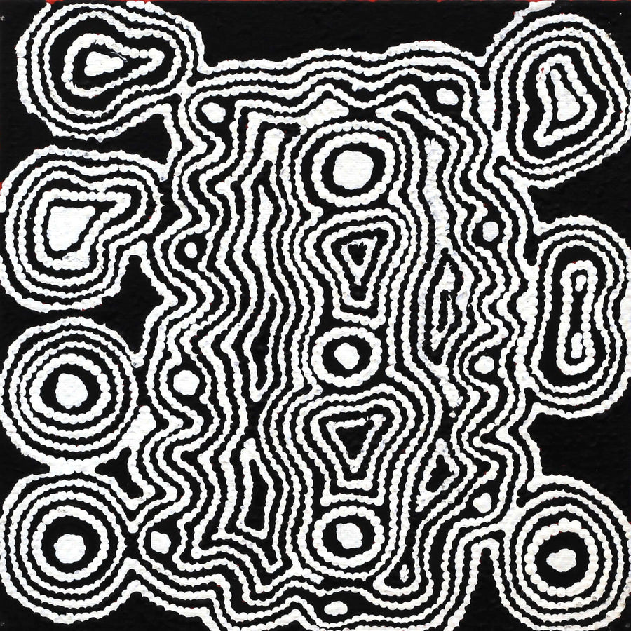 Aboriginal Artwork by Amelia Napaljarri Brown, Pikilyi Jukurrpa (Dreaming), 30x30cm