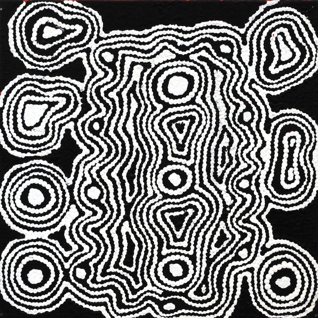 Aboriginal Artwork by Amelia Napaljarri Brown, Pikilyi Jukurrpa (Dreaming), 30x30cm - ART ARK®