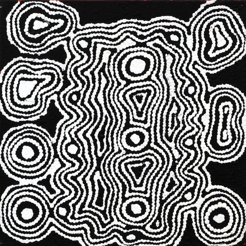 Aboriginal Artwork by Amelia Napaljarri Brown, Pikilyi Jukurrpa (Dreaming), 30x30cm