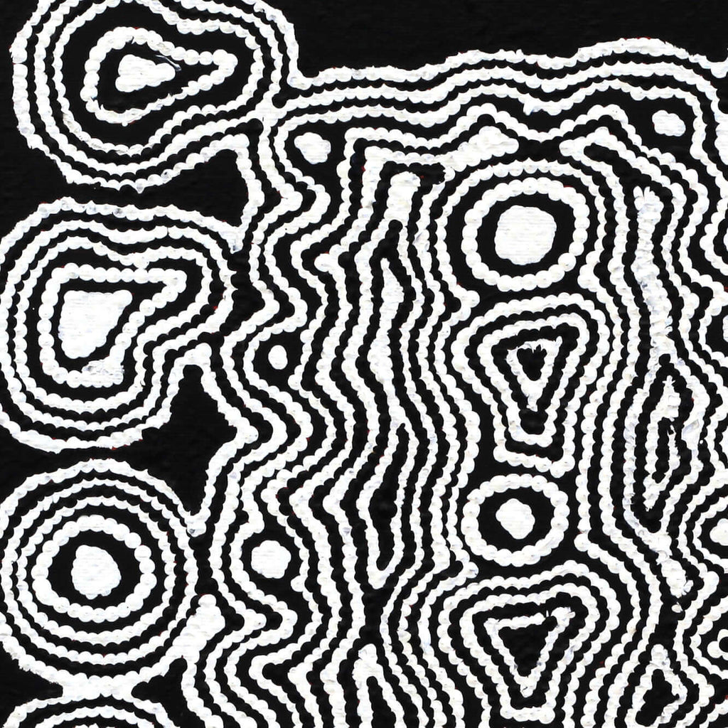 Aboriginal Artwork by Amelia Napaljarri Brown, Pikilyi Jukurrpa (Dreaming), 30x30cm