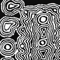 Aboriginal Artwork by Amelia Napaljarri Brown, Pikilyi Jukurrpa (Dreaming), 30x30cm