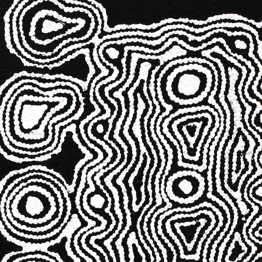 Aboriginal Artwork by Amelia Napaljarri Brown, Pikilyi Jukurrpa (Dreaming), 30x30cm