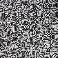 Aboriginal Artwork by Amelia Napaljarri Brown, Pikilyi Jukurrpa, 46x46cm