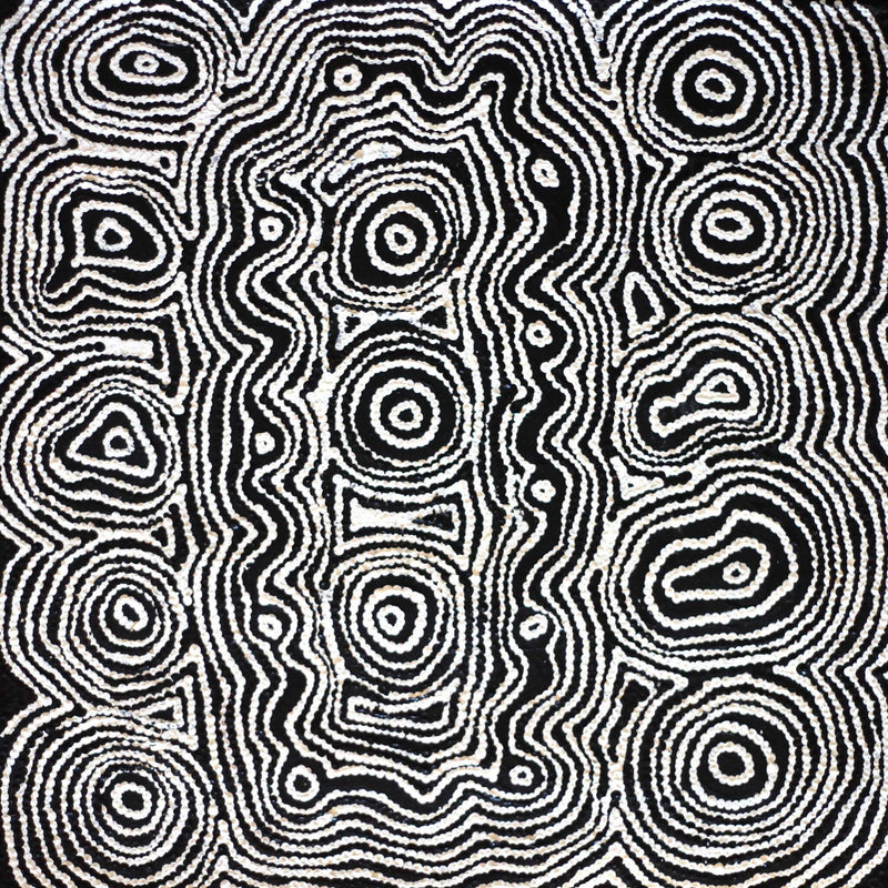 Aboriginal Artwork by Amelia Napaljarri Brown, Pikilyi Jukurrpa, 46x46cm