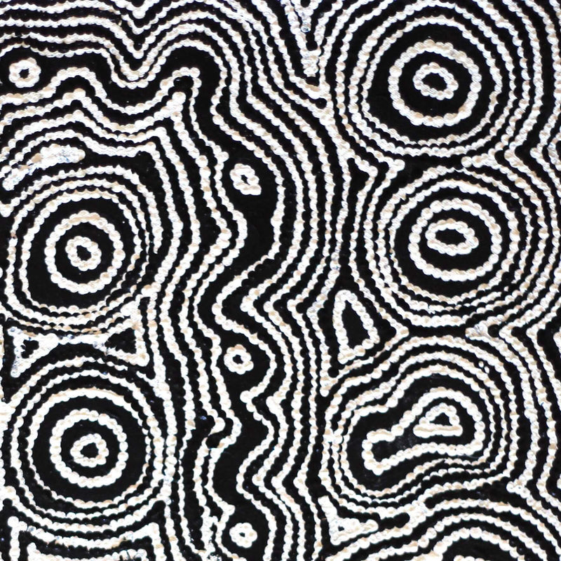 Aboriginal Artwork by Amelia Napaljarri Brown, Pikilyi Jukurrpa, 46x46cm