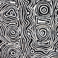 Aboriginal Artwork by Amelia Napaljarri Brown, Pikilyi Jukurrpa, 46x46cm