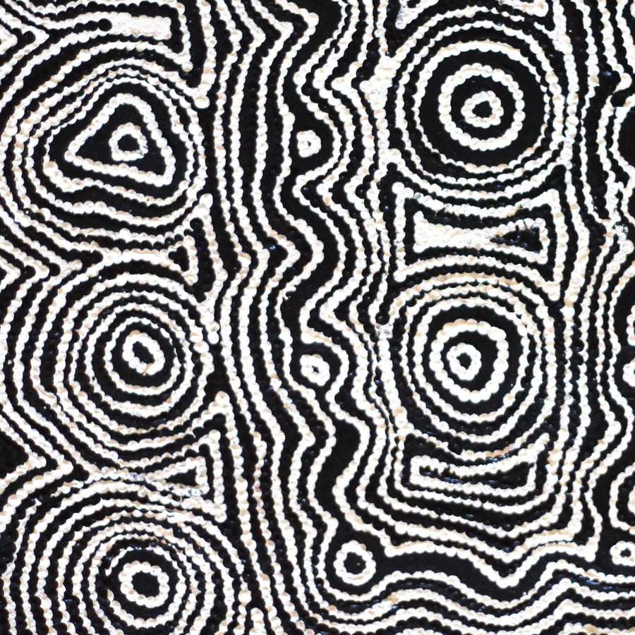 Aboriginal Artwork by Amelia Napaljarri Brown, Pikilyi Jukurrpa, 46x46cm