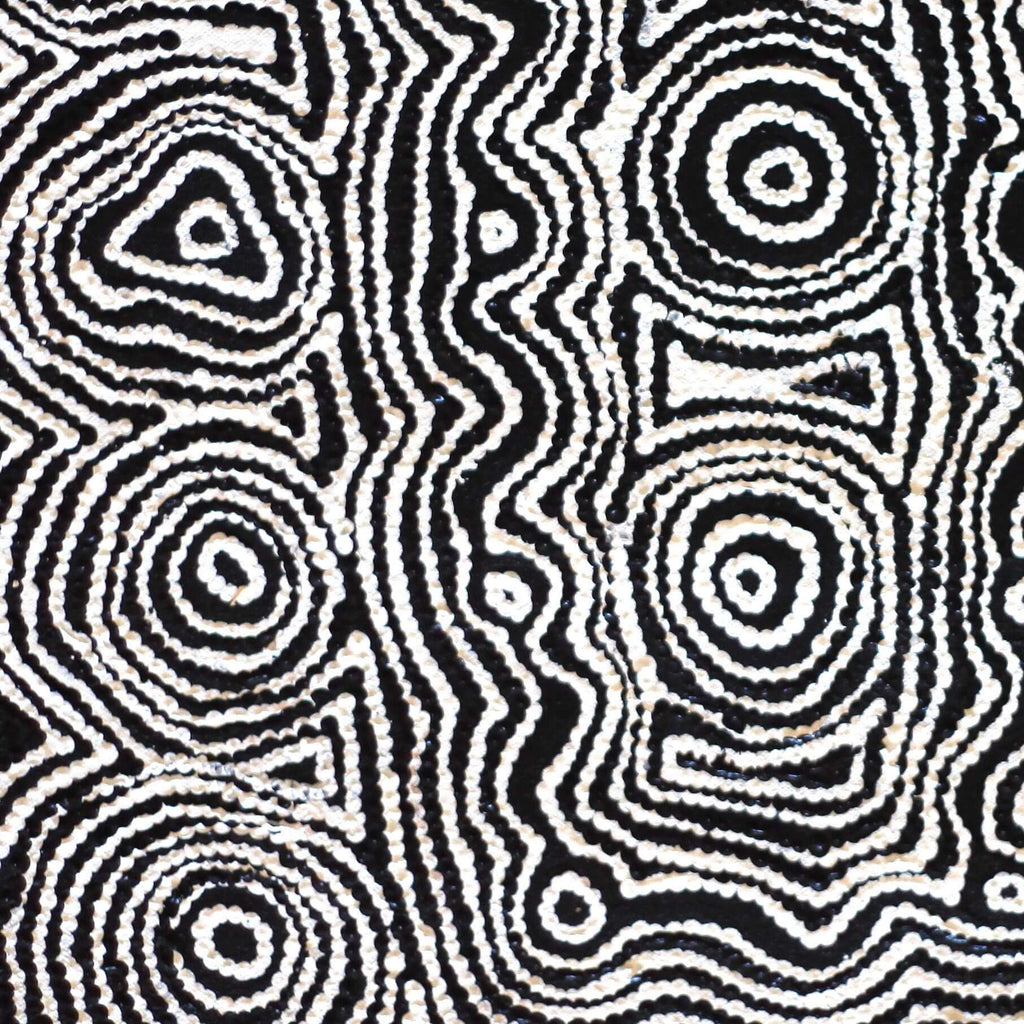 Aboriginal Artwork by Amelia Napaljarri Brown, Pikilyi Jukurrpa, 46x46cm - ART ARK®