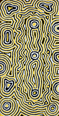 Aboriginal Artwork by Amelia Napaljarri Brown, Pikilyi Jukurrpa, 61x30cm