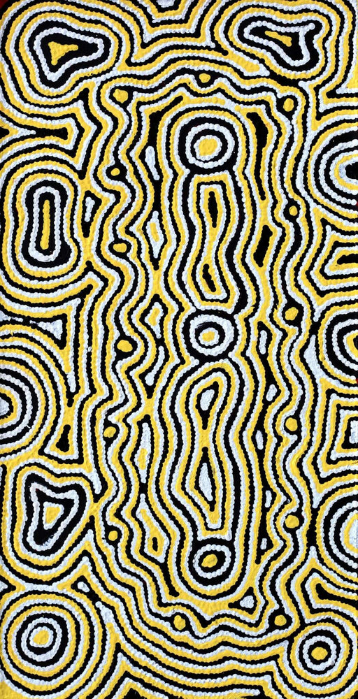 Aboriginal Artwork by Amelia Napaljarri Brown, Pikilyi Jukurrpa, 61x30cm