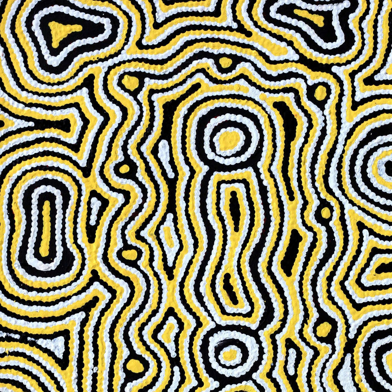 Aboriginal Artwork by Amelia Napaljarri Brown, Pikilyi Jukurrpa, 61x30cm