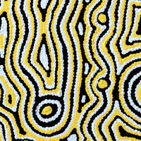 Aboriginal Artwork by Amelia Napaljarri Brown, Pikilyi Jukurrpa, 61x30cm