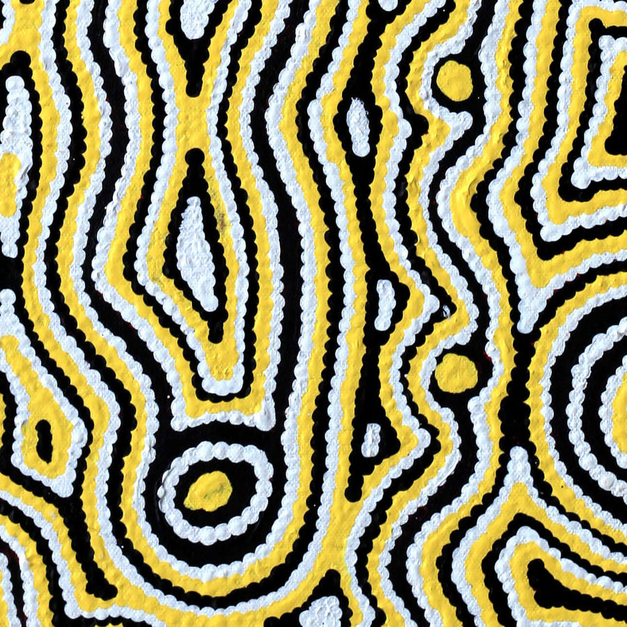 Aboriginal Artwork by Amelia Napaljarri Brown, Pikilyi Jukurrpa, 61x30cm