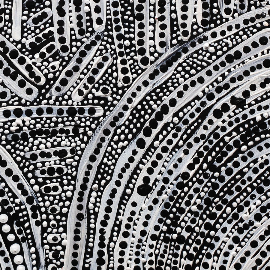 Aboriginal Artwork by Andrea Napanangka Tasman, Ngapa Jukurrpa (Water Dreaming) - Mikanji, 30x30cm