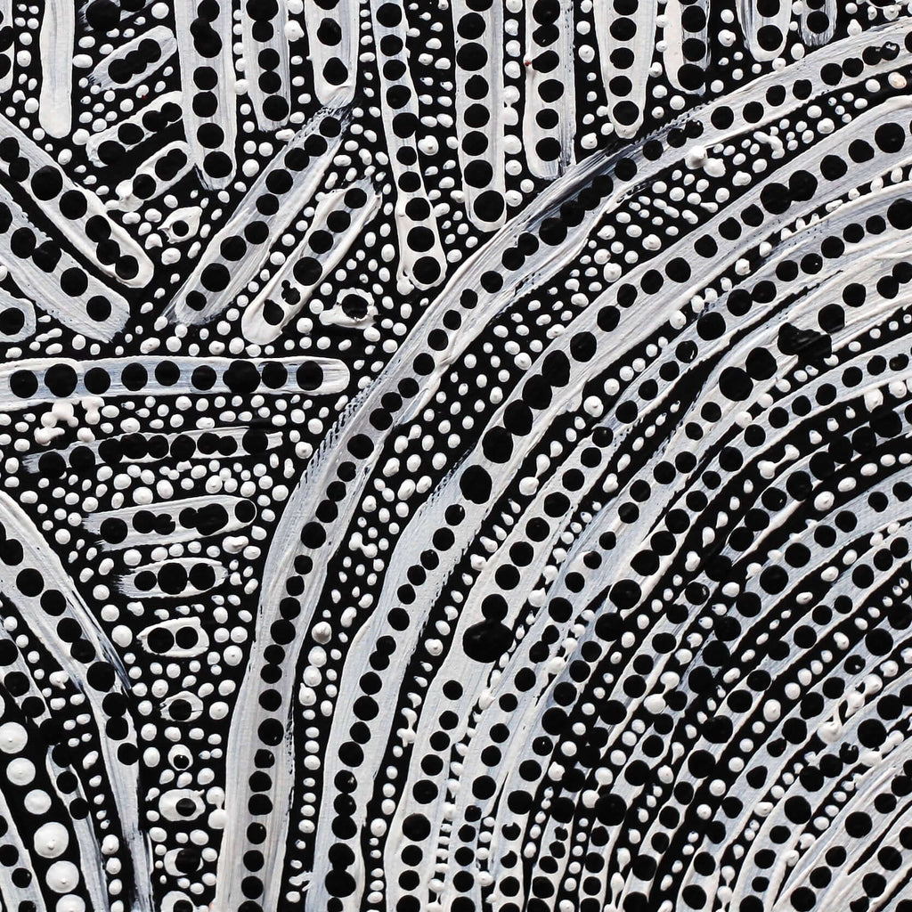 Aboriginal Artwork by Andrea Napanangka Tasman, Ngapa Jukurrpa (Water Dreaming) - Mikanji, 30x30cm - ART ARK®