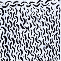 Aboriginal Artwork by Andrea Nungarrayi Wilson, Lukarrara Jukurrpa, 30x30cm