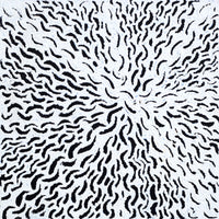 Aboriginal Artwork by Andrea Nungarrayi Wilson, Lukarrara Jukurrpa, 30x30cm