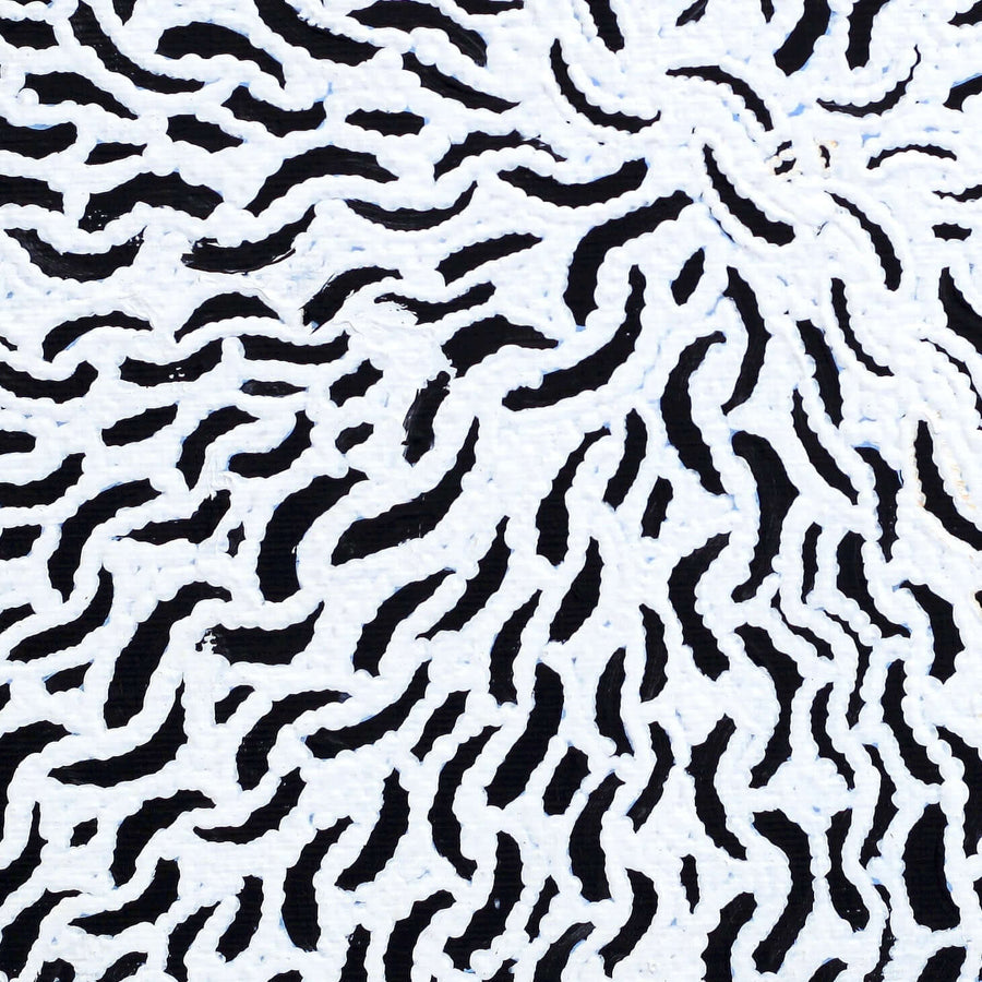 Aboriginal Artwork by Andrea Nungarrayi Wilson, Lukarrara Jukurrpa, 30x30cm