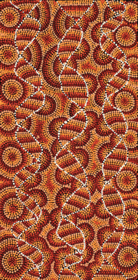Aboriginal Artwork by Angela Nangala Robertson, Watiya-warnu Jukurrpa (Seed Dreaming) 61x30cm