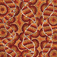 Aboriginal Artwork by Angela Nangala Robertson, Watiya-warnu Jukurrpa (Seed Dreaming) 61x30cm