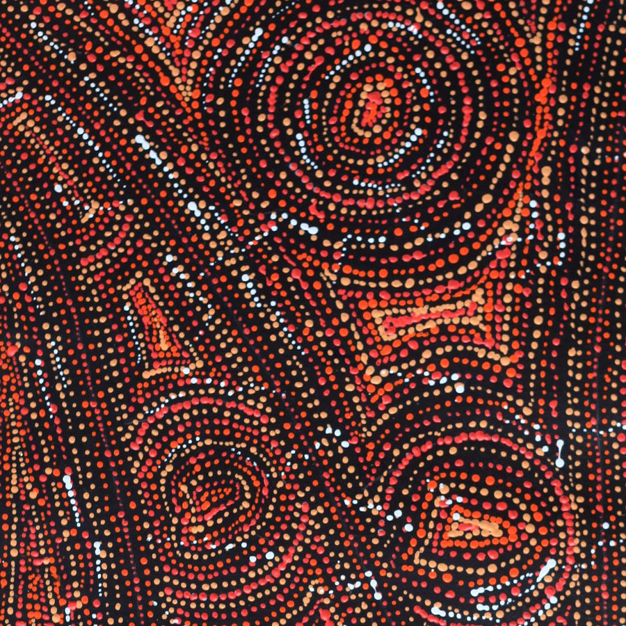 Aboriginal Artwork by Angelina Nampijinpa Tasman, Ngapa Jukurrpa (Water Dreaming) - Pirlinyarnu, 61x30cm