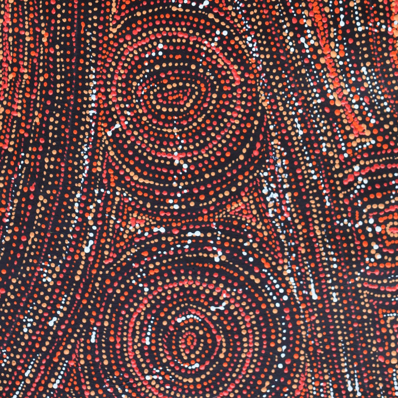 Aboriginal Artwork by Angelina Nampijinpa Tasman, Ngapa Jukurrpa (Water Dreaming) - Pirlinyarnu, 61x30cm