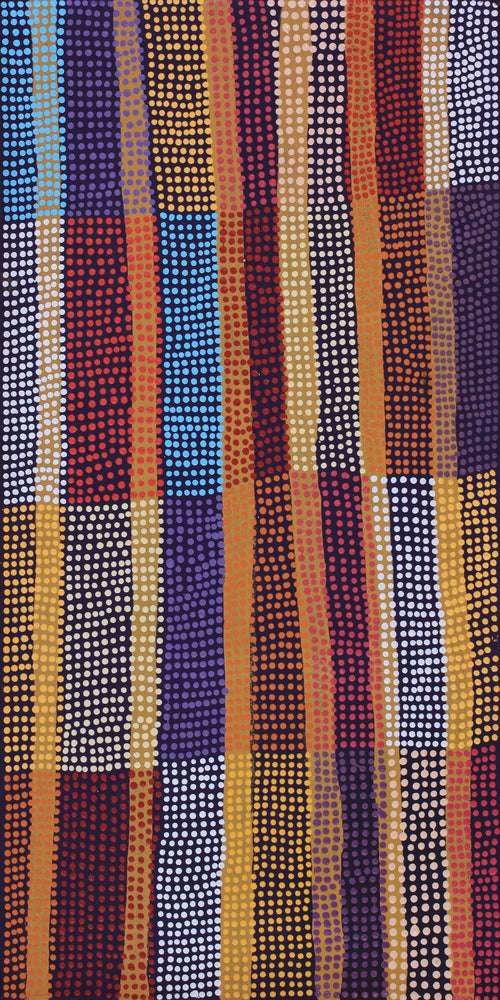 Aboriginal Artwork by Ann Lane Nee Dixon, Pirrnpirrnga - Desert Bore, 80x40cm