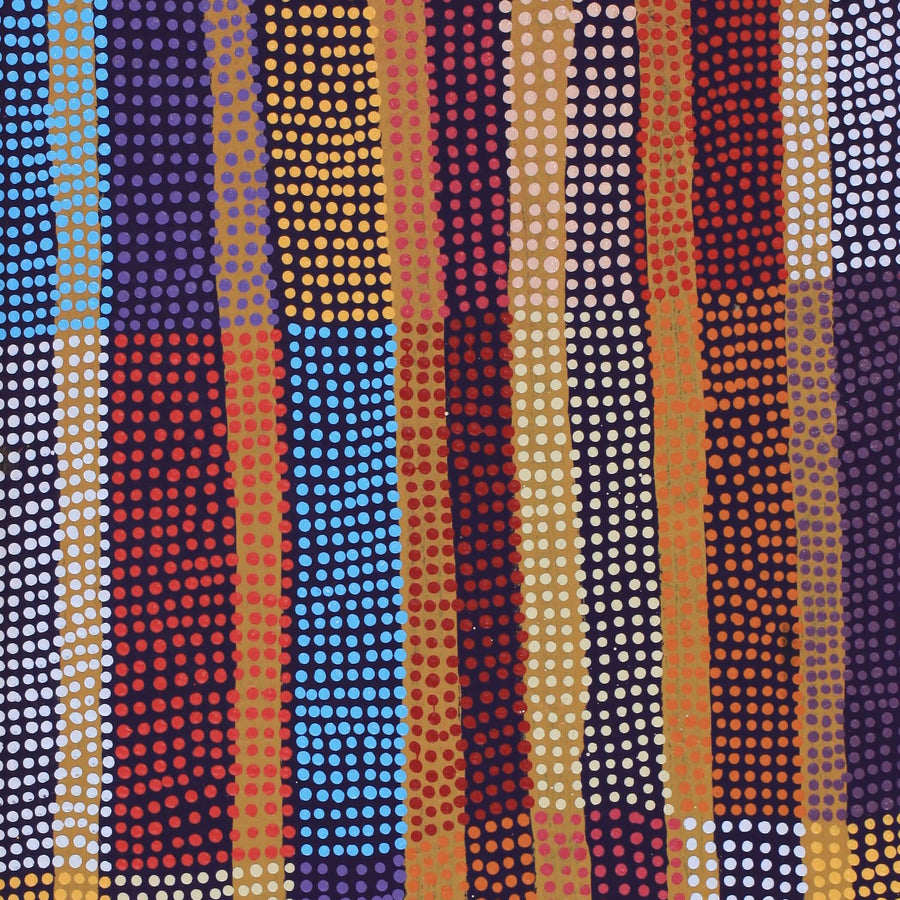Aboriginal Artwork by Ann Lane Nee Dixon, Pirrnpirrnga - Desert Bore, 80x40cm