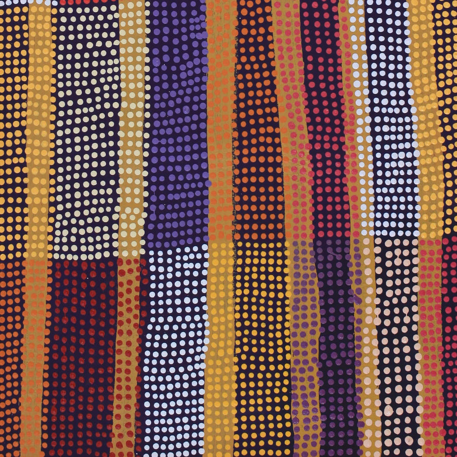 Aboriginal Artwork by Ann Lane Nee Dixon, Pirrnpirrnga - Desert Bore, 80x40cm
