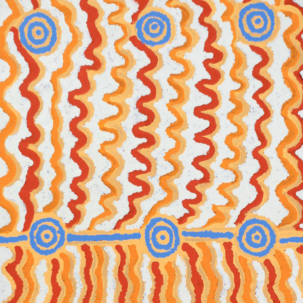 Aboriginal Artwork by Ann Lane Nee Dixon, Pirrnpirrnga - Desert Bore, 60x30cm