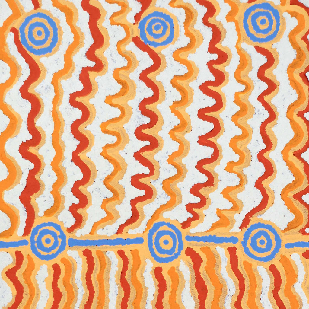 Aboriginal Artwork by Ann Lane Nee Dixon, Pirrnpirrnga - Desert Bore, 60x30cm - ART ARK®