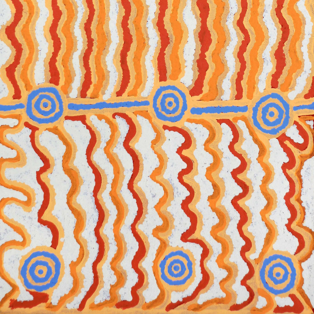 Aboriginal Artwork by Ann Lane Nee Dixon, Pirrnpirrnga - Desert Bore, 60x30cm