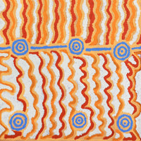 Aboriginal Artwork by Ann Lane Nee Dixon, Pirrnpirrnga - Desert Bore, 60x30cm