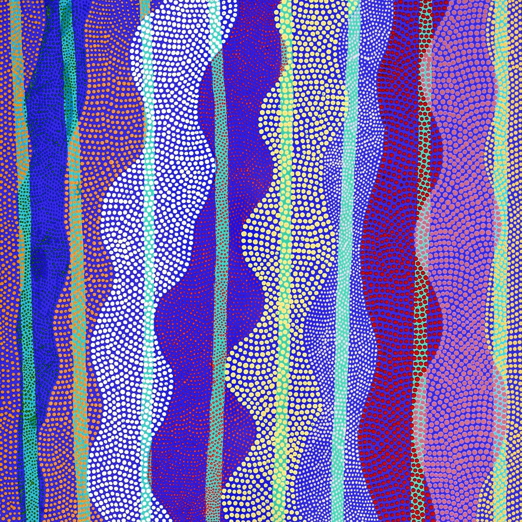 Aboriginal Artwork by Ann Lane Nee Dixon, Pirrnpirrnga - Desert Bore, 150x70cm