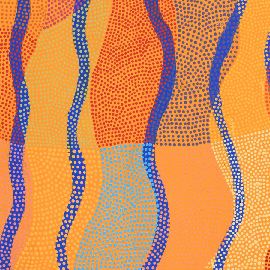 Aboriginal Artwork by Ann Lane Nee Dixon, Pirrnpirrnga - Desert Bore, 90x50cm