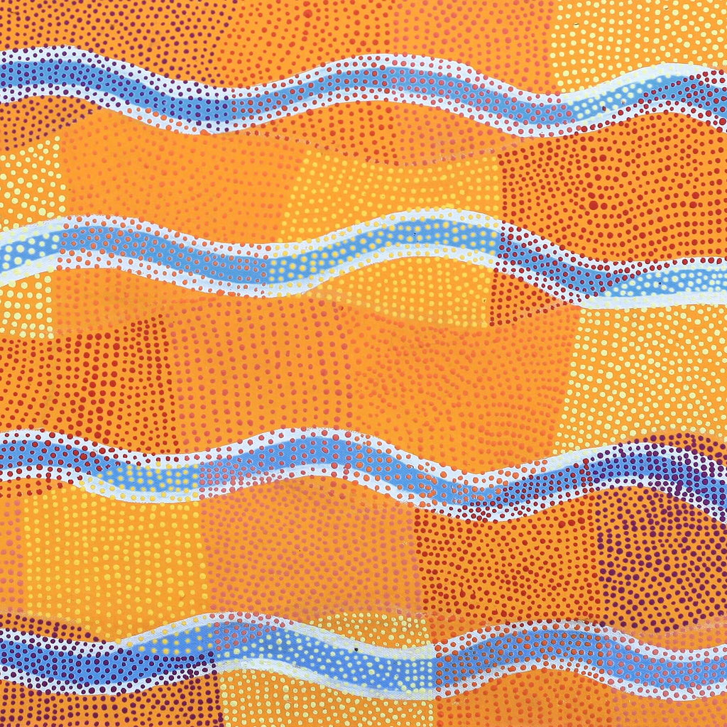 Aboriginal Artwork by Ann Lane Nee Dixon, Pirrnpirrnga - Desert Bore, 60x60cm - ART ARK®
