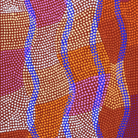 Aboriginal Artwork by Ann Lane Nee Dixon, Pirrnpirrnga - Desert Bore, 122x46cm
