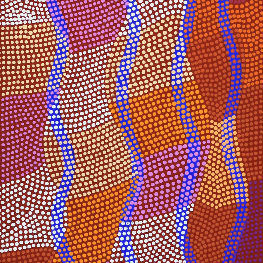 Aboriginal Artwork by Ann Lane Nee Dixon, Pirrnpirrnga - Desert Bore, 122x46cm