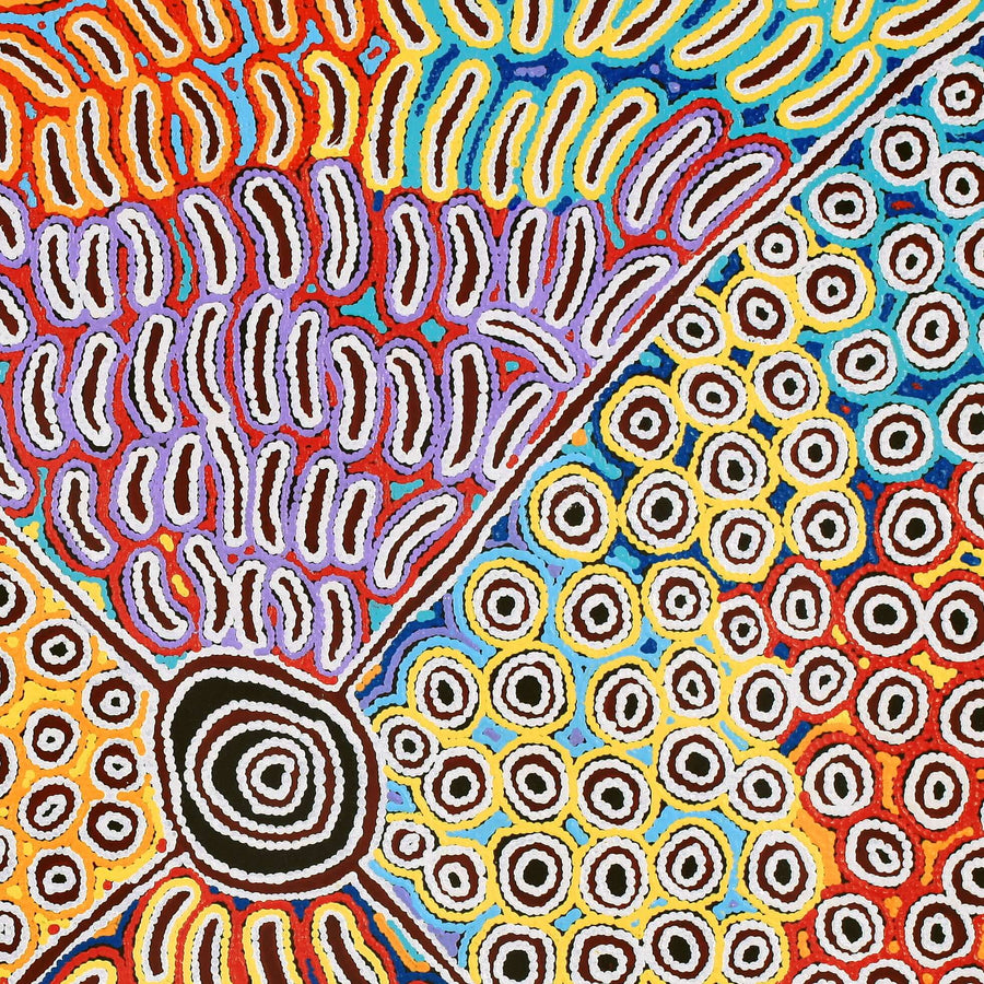 Aboriginal Artwork by Antonia Napangardi Michaels, Lappi Lappi Jukurrpa, 122x122cm