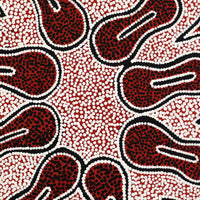 Aboriginal Artwork by Antoinette Napanangka Brown, Mina Mina Jukurrpa (Mina Mina Dreaming) - Ngalyipi, 30x30cm
