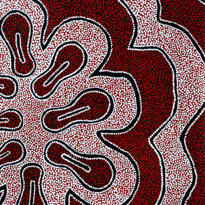 Aboriginal Artwork by Antoinette Napanangka Brown, Mina Mina Jukurrpa (Mina Mina Dreaming) - Ngalyipi, 46x46cm