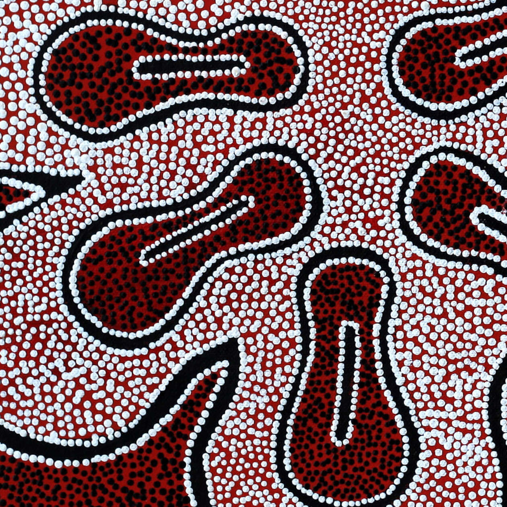 Aboriginal Artwork by Antoinette Napanangka Brown, Mina Mina Jukurrpa (Mina Mina Dreaming) -  Ngalyipi, 46x46cm - ART ARK®