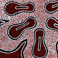 Aboriginal Artwork by Antoinette Napanangka Brown, Mina Mina Jukurrpa (Mina Mina Dreaming) - Ngalyipi, 46x46cm
