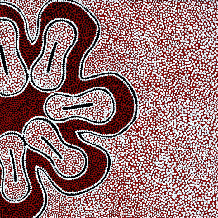 Aboriginal Art by Antoinette Napanangka Brown, Mina Mina Jukurrpa (Mina Mina Dreaming) -  Ngalyipi, 61x30cm - ART ARK®