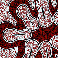 Aboriginal Artwork by Antoinette Napanangka Brown, Mina Mina Jukurrpa (Mina Mina Dreaming) - Ngalyipi, 61x30cm