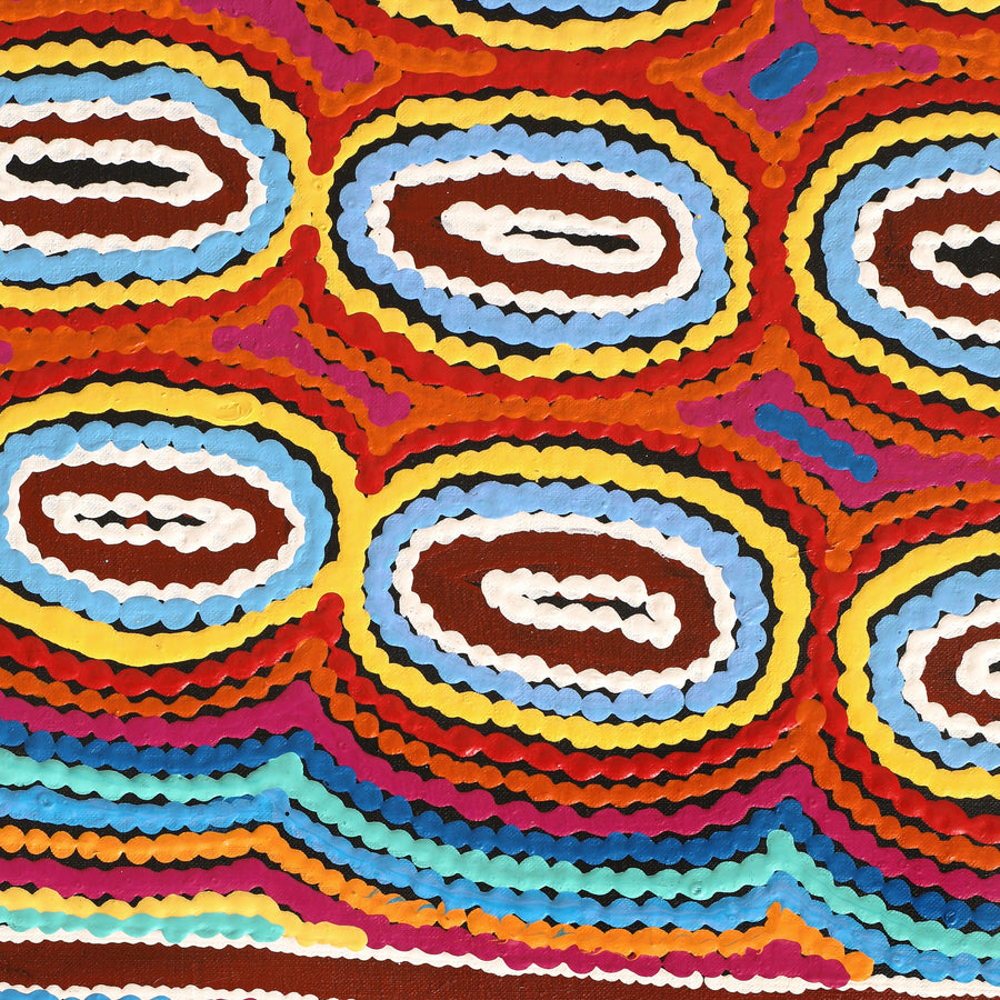 Aboriginal Artwork by Antonia Napangardi Michaels, Lappi Lappi Jukurrpa, 183x107cm
